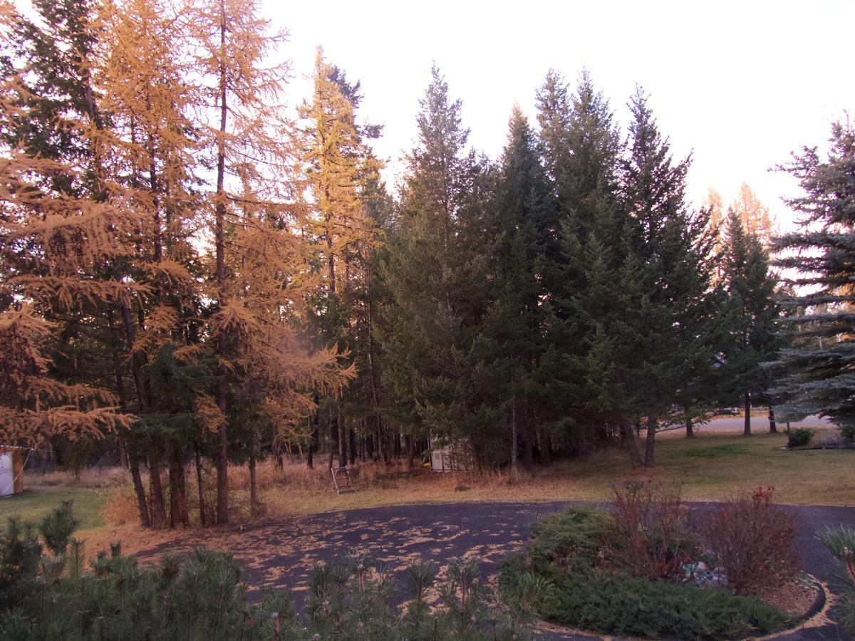 End Of The Road B & B Cranbrook Luaran gambar