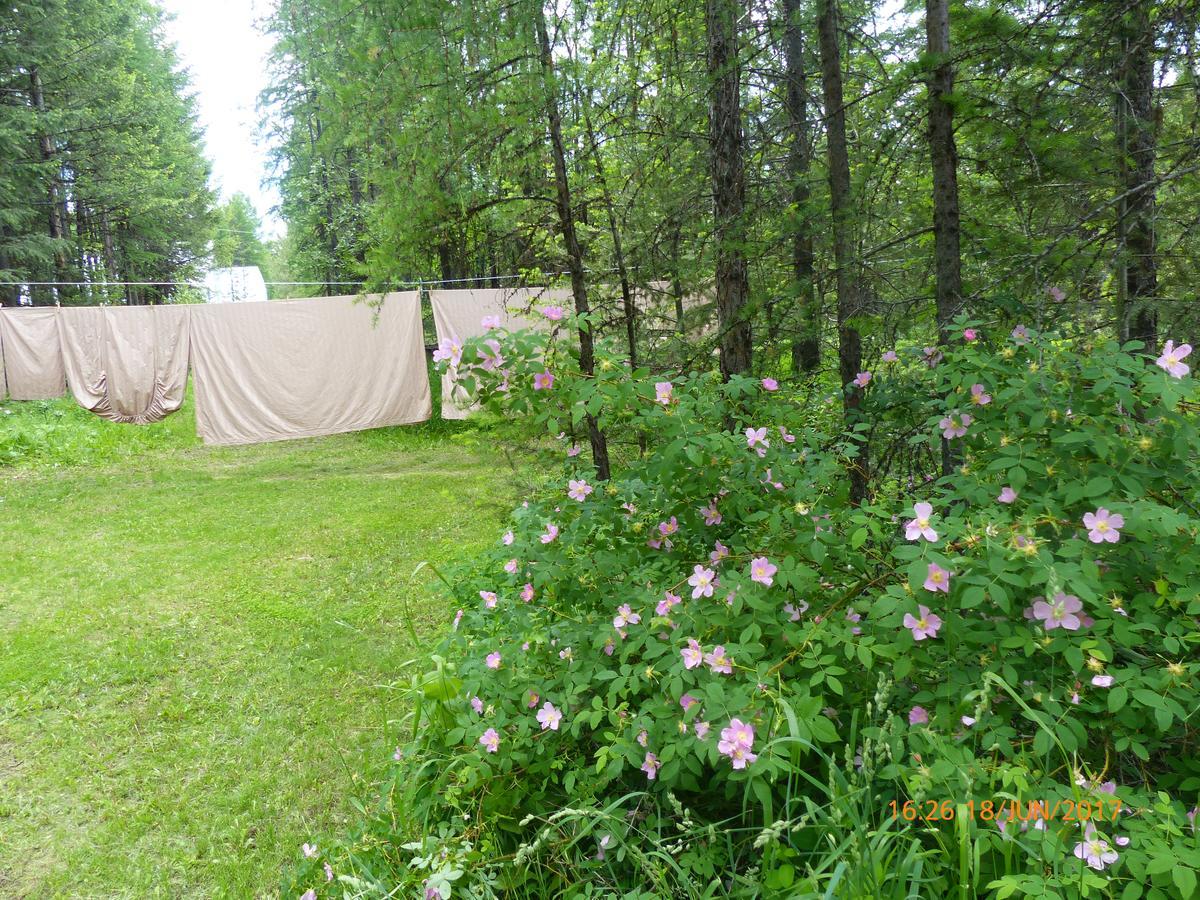 End Of The Road B & B Cranbrook Luaran gambar